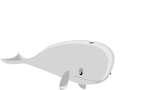 Whale